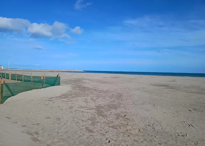 Equipe Vue Port, Proche Aquarium Lejlighed Canet-en-Roussillon