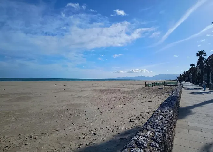 Equipe Vue Port, Proche Aquarium * Canet-en-Roussillon